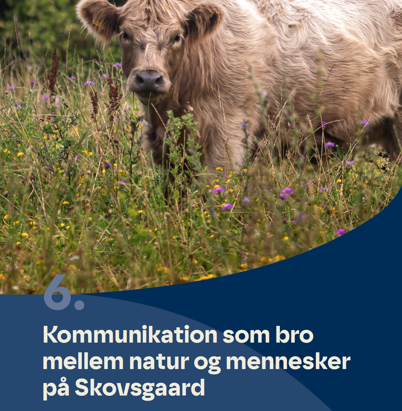 Kapitel 6. Kommunikation som bro mellem natur og mennesker på Skovsgaard