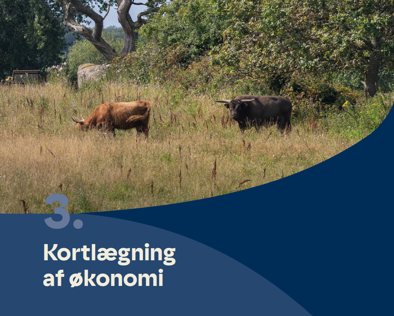 Kapitel 3. Kortlægning af økonomi