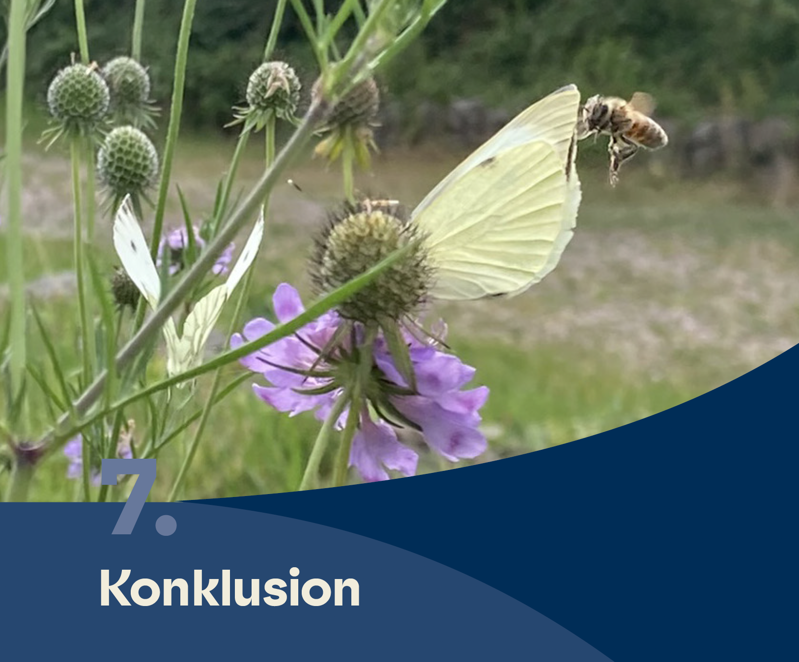 Kapitel 7. Konklusion